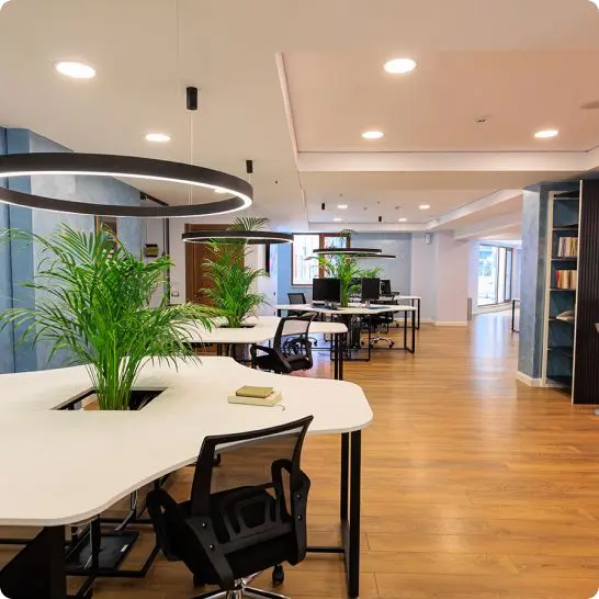 Un bureau ouvert avec des postes de travail et des plantes