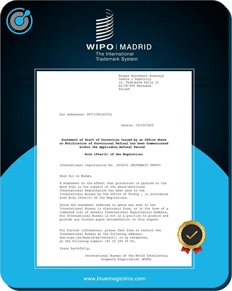 Visual representation of BlueMagic Group's global partnerships with healthcare providers, emphasizing collaboration for advanced hair restoration services.